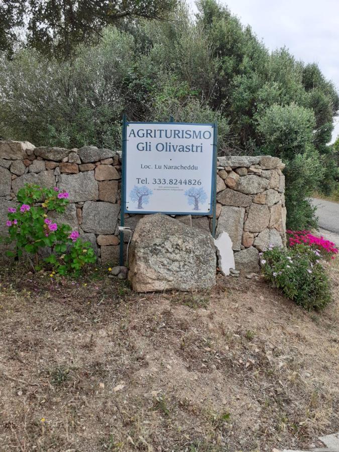 Agriturismo Gli Olivastri Aglientu Esterno foto