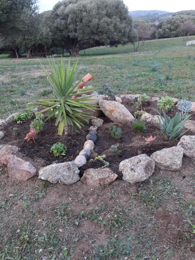 Agriturismo Gli Olivastri Aglientu Esterno foto