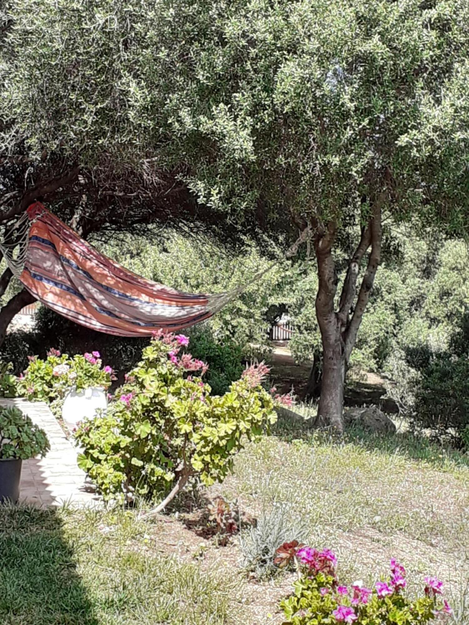 Agriturismo Gli Olivastri Aglientu Esterno foto