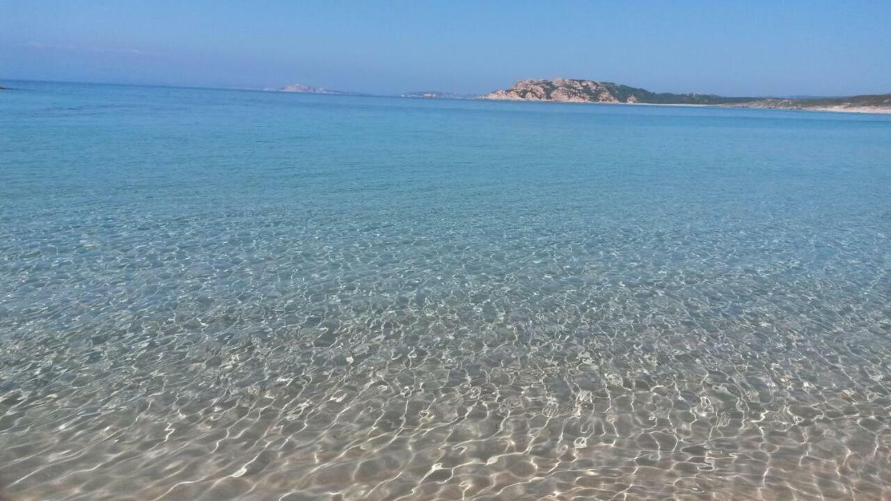 Agriturismo Gli Olivastri Aglientu Esterno foto