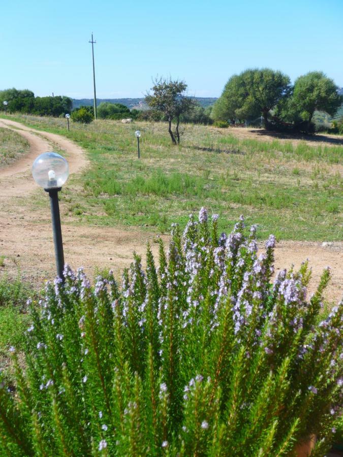 Agriturismo Gli Olivastri Aglientu Esterno foto