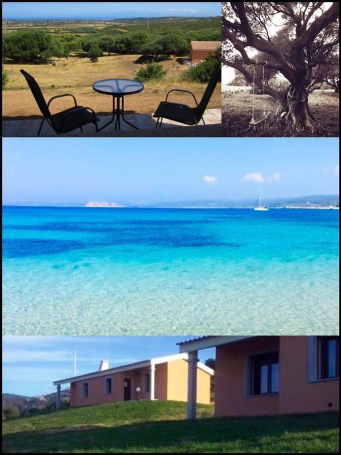 Agriturismo Gli Olivastri Aglientu Esterno foto