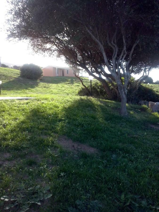 Agriturismo Gli Olivastri Aglientu Esterno foto